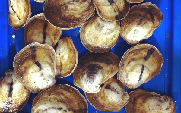 Une famille qui se ressemble.