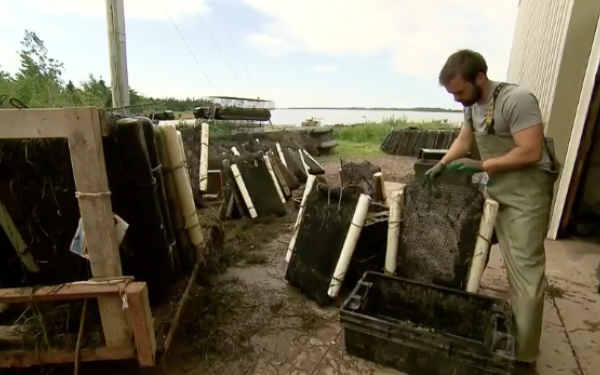Les Huîtres Mallet à la Semaine Verte