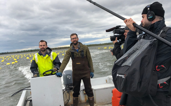 Les Huîtres Mallet sur Unis TV!
