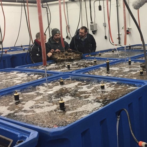 Contrôle de la qualité